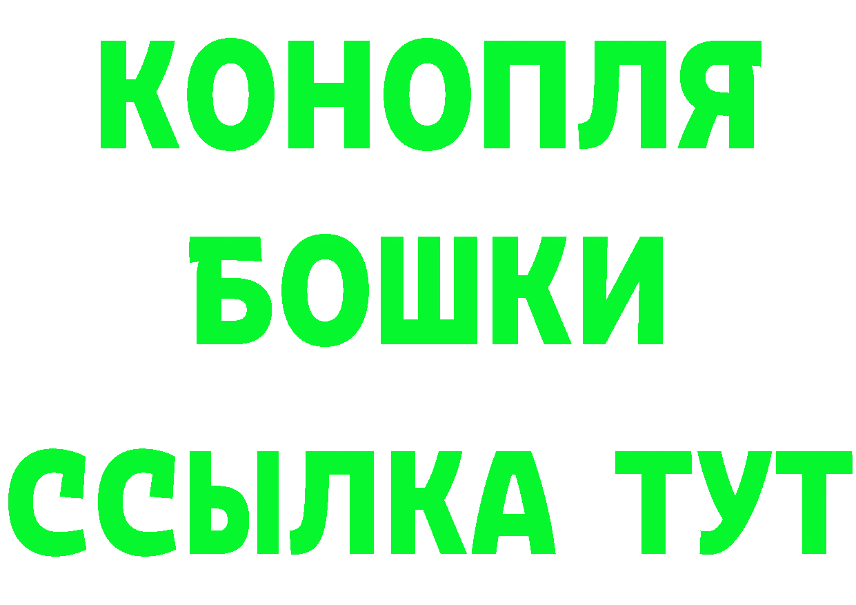 Альфа ПВП СК ТОР площадка ссылка на мегу Пушкино